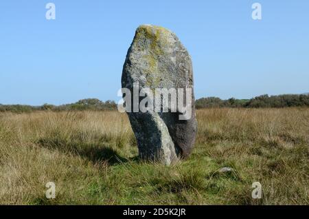 Rhos y Clegyrn Standing Stone Menhir neolithische Bronzezeit St Nicholas Pembrokeshire Wales Cymru Großbritannien Stockfoto