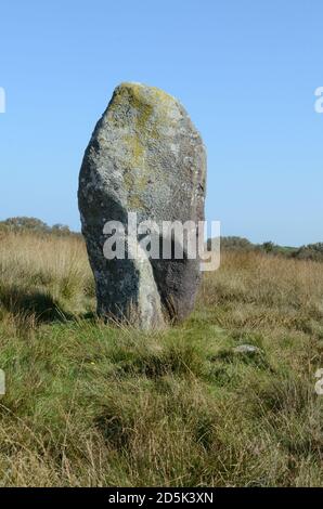 Rhos y Clegyrn Standing Stone Menhir neolithische Bronzezeit St Nicholas Pembrokeshire Wales Cymru Großbritannien Stockfoto