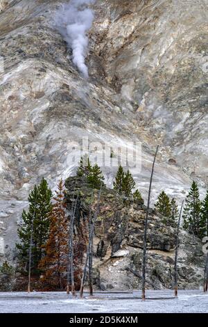 Fumarolen am Roaring Mountain, Yellowstone National Park, Wyoming, USA Stockfoto