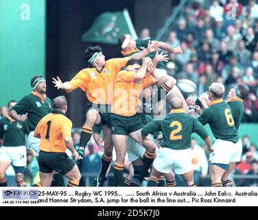 25-MAI-95 ... Rugby-Weltmeisterschaft 1995. ..... Südafrika V Australien ... John Eales, Australien, und Hannes Strydom, S.A. springen um den Ball in der Linie heraus Stockfoto