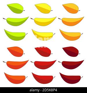 Herbstlaub Kollektion isoliert auf weiß. Herbstliches farbenfrohes Blatt-Set. Fallende saisonale Formen in lebendigen Farben. Vektor-Illustration in Cartoon-Stil Stock Vektor