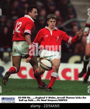 03-FEB-96. ....England / Wales. Arwel Thomas (Wales) schießt den Ball ins Feld Stockfoto