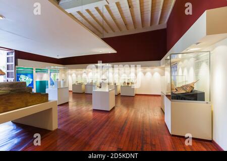 Die Amazonas-Kultur-Sammlungsgalerie, "Nationales Museum für Archäologie, Anthropologie und Geschichte Perus", Lima, Peru, Südamerika Stockfoto