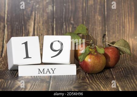 Mai 19. Tag 19 des Monats. Kalenderwürfel auf Holzhintergrund mit roten Äpfeln, Geschäftskonzept und einem wichtigen Ereignis. Frühjahrssaison. Stockfoto