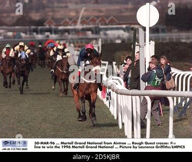 Rough Quest überquert die Linie, um den 1996 Martell zu gewinnen Grand National Stockfoto