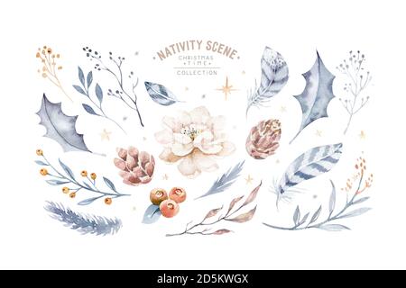 Big New Year's Set isolierte Design-Elemente. Die Blätter und Beeren, Tannenzapfen, Zweige, Orange, Baumwolle. Aquarelldarstellung. Stockfoto