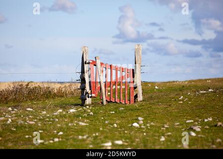 Holztor zur Weide, bei Issehoved auf Samsø, Dänemark Stockfoto