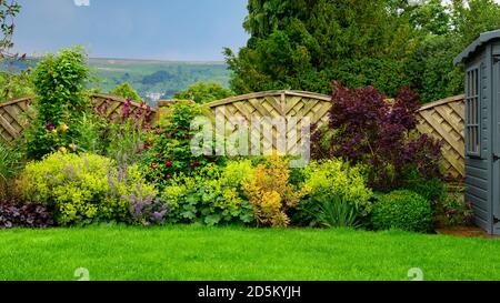 Landschaftlich schöner, sonniger privater Garten (modernes Design, Blumen an der Sommergrenze, buntes Laub, Schuppen, Rasen, hoher Zaun) - West Yorkshire, England, Großbritannien. Stockfoto