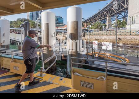 Ein männliches Besatzungsmitglied auf einer Sydney Ferry Schlingen ein Anlegeseil zu einem Poller am Milsons Point Wharf In der Nähe der Sydney Harbour Bridge in Australien Stockfoto