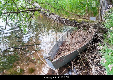 Ein altes ruiniertes, verlassenes Boot am Ufer eines Sees im Schilf Stockfoto