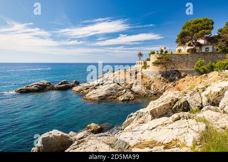 Schöne Aussicht auf die Küste vom Küstenweg von Sa Conca nach Platja d'Aro. Sant Feliu de Guixols, Costa Brava, Katalonien, Spanien Stockfoto