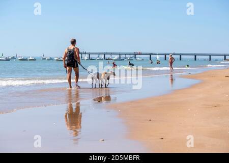 La Tranche-sur-Mer (Mittelwest-Frankreich): Urlauber am Strand, die an der Leine Windhunde laufen Stockfoto