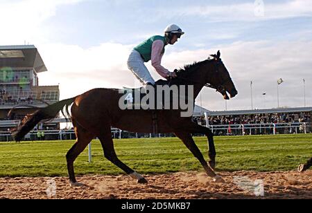 Jockey Ruby Walsh Reiten Lady Accord geht zu post in The John Smith's HBLB Mares' Only Standard Open National Hunt Flat Race Stockfoto