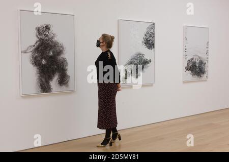 London, Großbritannien, 14. Oktober 2020: Die Künstlerin Maggi Hambling eröffnet in der Marlborough Gallery in Mayfair eine Gemäldeausstellung zu ihrem 75. Geburtstag. Neben einer Serie von Selbstporträts sind ihre Umweltbelange mit Bildern gefährdeter Tiere vertreten. Rachel Royse/Alamy Live News Stockfoto