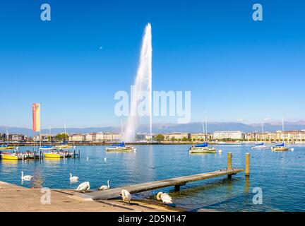 Die Bucht von Genf an einem sonnigen Sommermorgen mit dem Jet d'Eau Wasserstrahlbrunnen auf dem Genfer See, der zum Wahrzeichen der Stadt wurde. Stockfoto