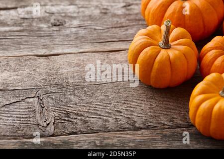 Schöne Mini-Kürbisse auf Holzplanken, Kopierraum Stockfoto