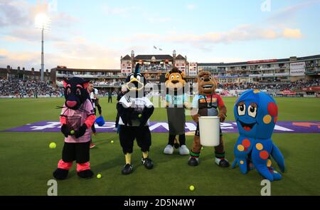 'ascot Mania' während der Pause, Surrey gegen Middlesex. Stockfoto