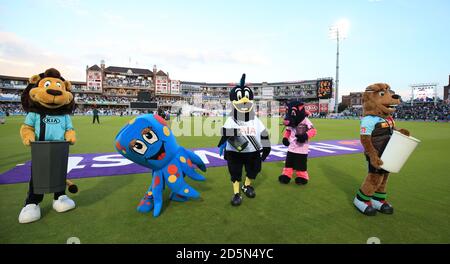 'ascot Mania' während der Pause, Surrey gegen Middlesex. Stockfoto