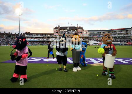 'ascot Mania' während der Pause, Surrey gegen Middlesex. Stockfoto