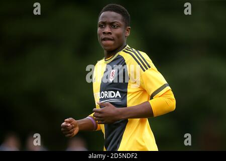 Dennis Adeniran, Fulham Stockfoto