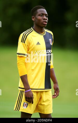 Dennis Adeniran, Fulham Stockfoto