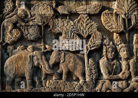 Horizontale Nahaufnahme eines der exquisit verzierten Flachreliefs des buddhistischen Tempels Borobudur, Borobudur, Java, Indonesien Stockfoto