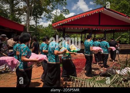 Horizontale Aufnahme einer Prozession von Frauen, die Opfergaben in einem Torajan-Trauerritual mit Tieropfern im Dorf Kanuruan Viesta, Sulawesi, tragen Stockfoto