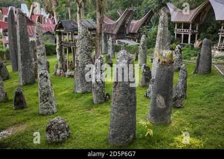 Horizontale Ansicht einer steinernen megalithischen Grabstätte von Torajan in Bori Village, Tana Toraja, Sulawesi, Indonesien Stockfoto