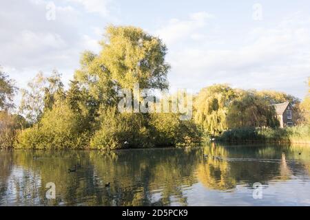 Die zentrale Insel und Barnes Community Centre auf Barnes Pond, Barnes, Southwest London, SW13, U.K. Stockfoto