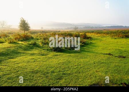 Ein frühmorgendlicher Herbstnebel beginnt sich von der zu reinigen Derbyshire Peak District Landschaft Stockfoto