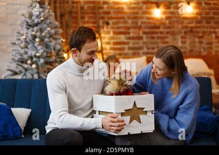 Frohe Weihnachten. Glücklich junges Paar spielt mit pommerschen Spitz Hund sitzt in der Nähe von schönen Weihnachtsbaum zu Hause. Winterferien, Weihnachten Stockfoto