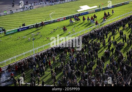 Eine Jagdparade auf dem Platz während des Landtages Der Open in Cheltenham Rennbahn Stockfoto