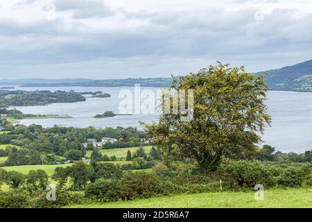 Grüne Felder und ländliche Landschaft mit Blick auf Lough Derg in Ballycuggarran, County Clare, Irland Stockfoto