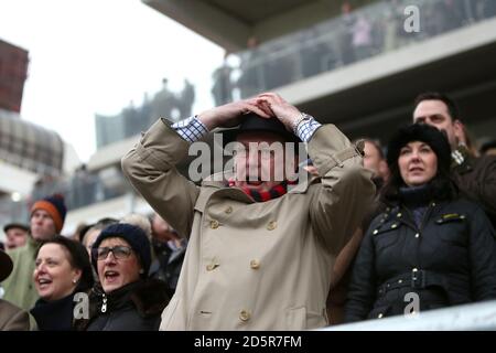 Racegoers sehen sich die Action auf der Cheltenham Racecourse an Stockfoto