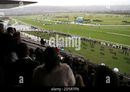 Racegoers sehen sich die Action auf der Cheltenham Racecourse an Stockfoto