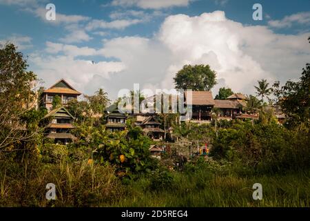 Häuser und Hotels am Campuhan Ridge Walk in Bali Stockfoto