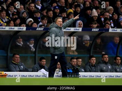 Cardiff City Manager Neil Warnock Stockfoto