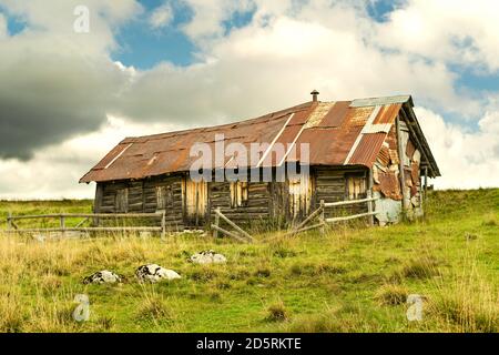 Alte und verfallene Holz- und Metallhütte in den Bergen des Asiago-Plateaus. Grüne Wiese und stürmischer Himmel. Enego, Vicenza, Italien Stockfoto