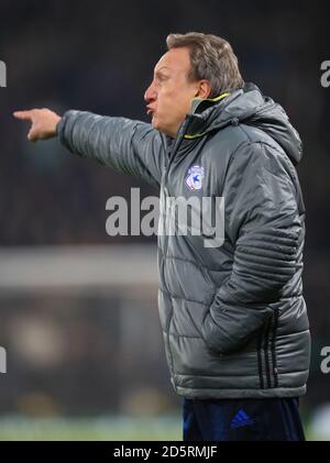 Cardiff City Manager Neil Warnock Stockfoto