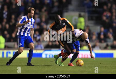 Mohamed Diame von Newcastle United (Mitte) und Brighton & Hove Albion Bruno Saltor Kampf um den Ball Stockfoto