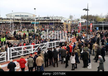 Ein allgemeiner Blick auf den Paradering während der St. Patrick's Day des Cheltenham Festivals 2017 Stockfoto