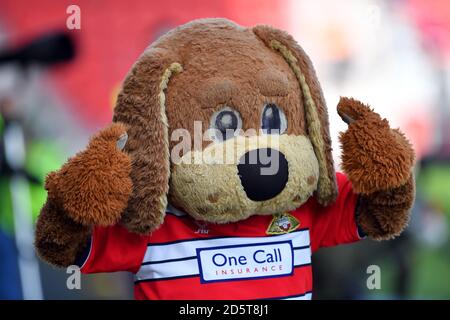 Doncaster Rovers Maskottchen Donny der Hund Stockfoto