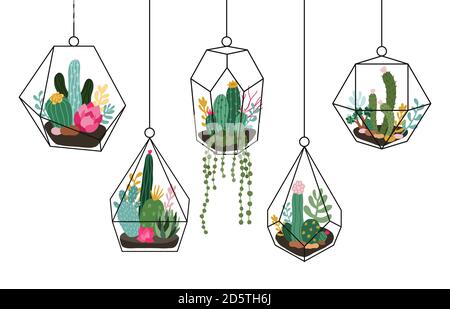 Doodle hängendes Terrarium. Sukkulenten und Kakteen Glas Florarien, tropische Pflanzen Innenraum geometrische Terrarium isoliert Vektor Illustration Set Stock Vektor