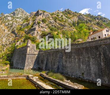 Riva Bastion und Stadtmauer Befestigung, Kotor, Montenegro Stockfoto