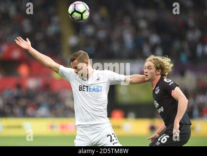 Gylfi Sigurdsson von Swansea City und Tom Davies von Everton in Aktion Stockfoto