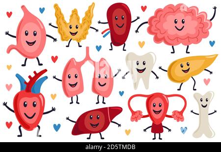 Niedliche innere Organe. Gesunde lustige Herz, Magen, Lunge und Gehirn, Medizin menschliche Organe Zeichen, biologische Organ Vektor Illustration Set Stock Vektor
