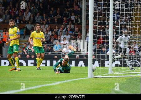 Russell Martin (links) und Yanic Wildschut von Norwich City schauen an Da Martin ein eigenes Tor schießt Stockfoto