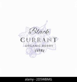 Black Currant Farms abstrakte Vektor-Zeichen, Symbol oder Logo-Vorlage. Handgezeichnete Beeren mit Blättern Skizze mit Retro Typografie. Klassisches Luxus-Emblem. Stock Vektor