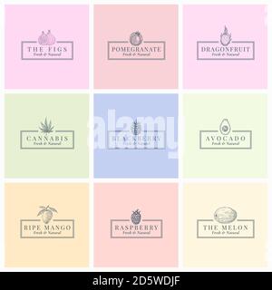 Früchte Beries und Kräuter abstrakte Vektor-Zeichen, Symbole oder Logo Vorlagen Sammlung. Handgezeichnete Skizzen von Cannabis, Avocado, Himbeere, Mango. Mit Stock Vektor
