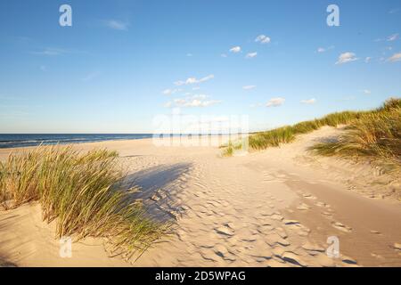 Nationalpark Slovinski, Sanddüne Leba an der Ostseeküste Stockfoto